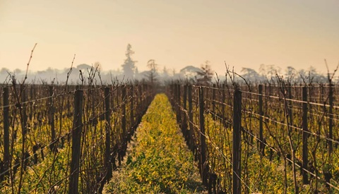 /img/offers/2540/Evangile card.jpg